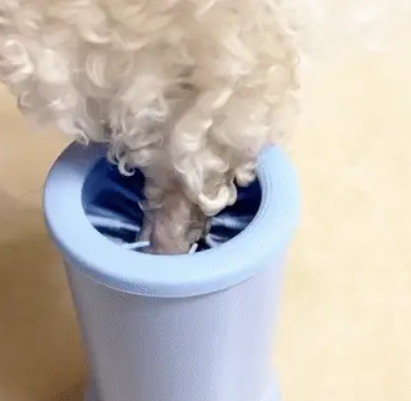 Highly Effective